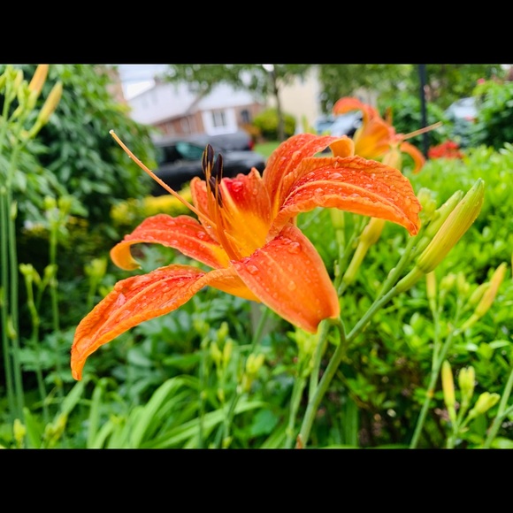 Meet your Poshers | NOT FOR SALE | - Picture 7 of 7